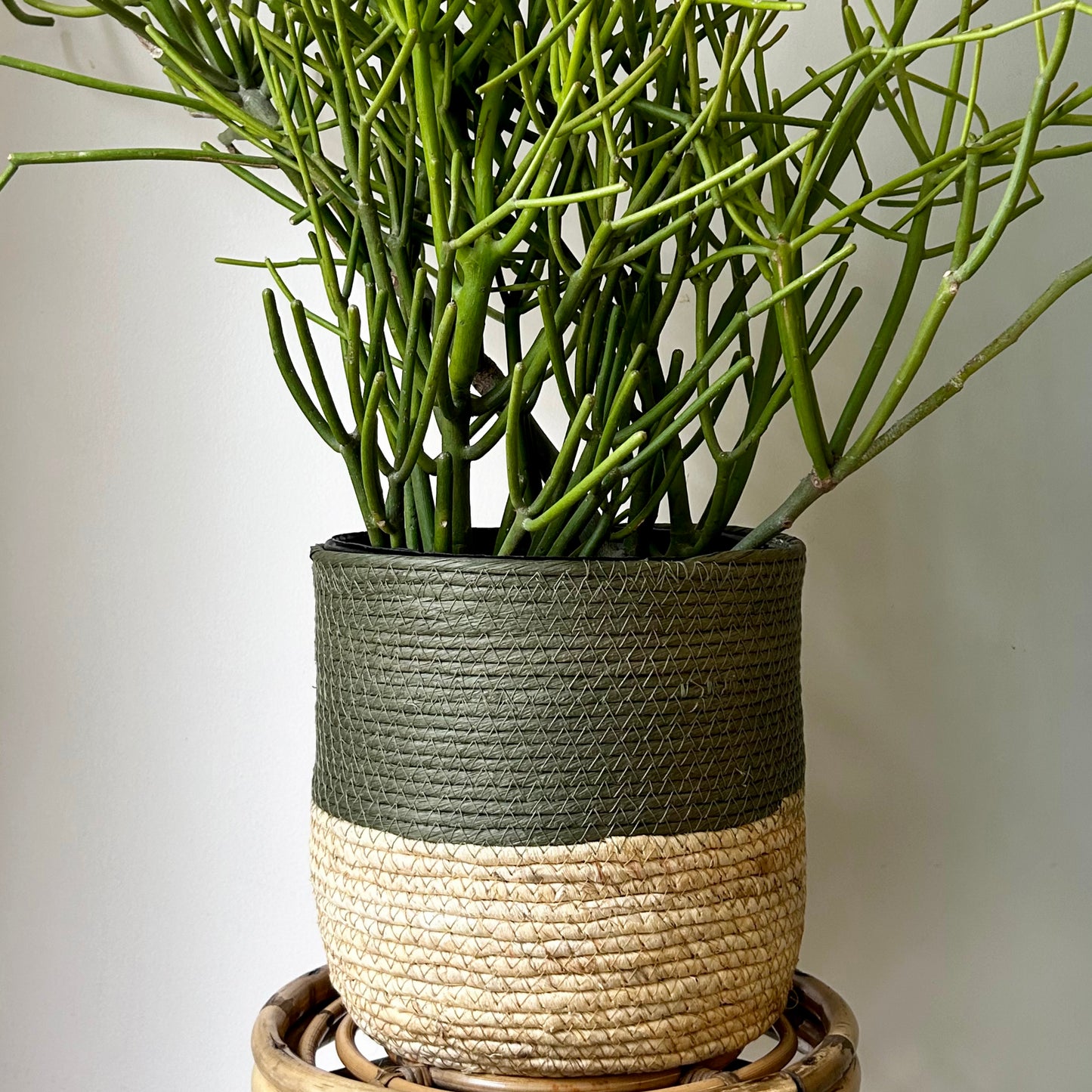 OLIVIA decorative Plant Basket (Available in 3 SIZES)