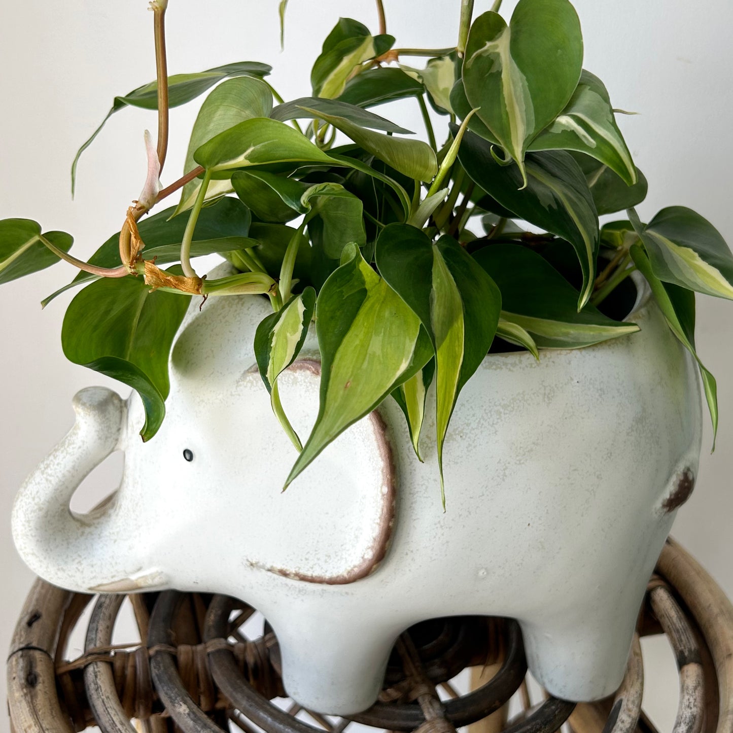 ELEPHANT Decorative Pot