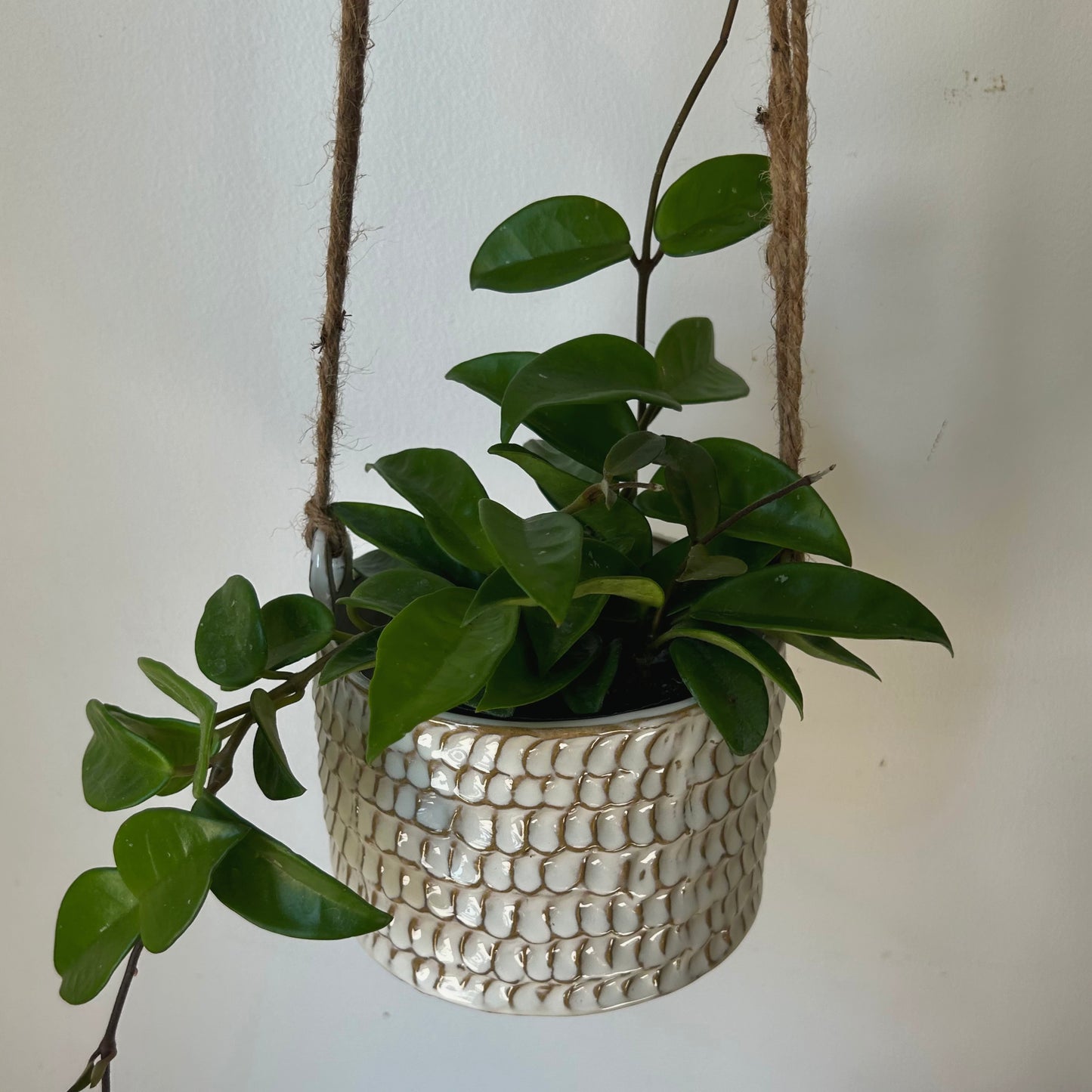 ELORA Decorative Hanging Ceramic Pot (5.25”x4)