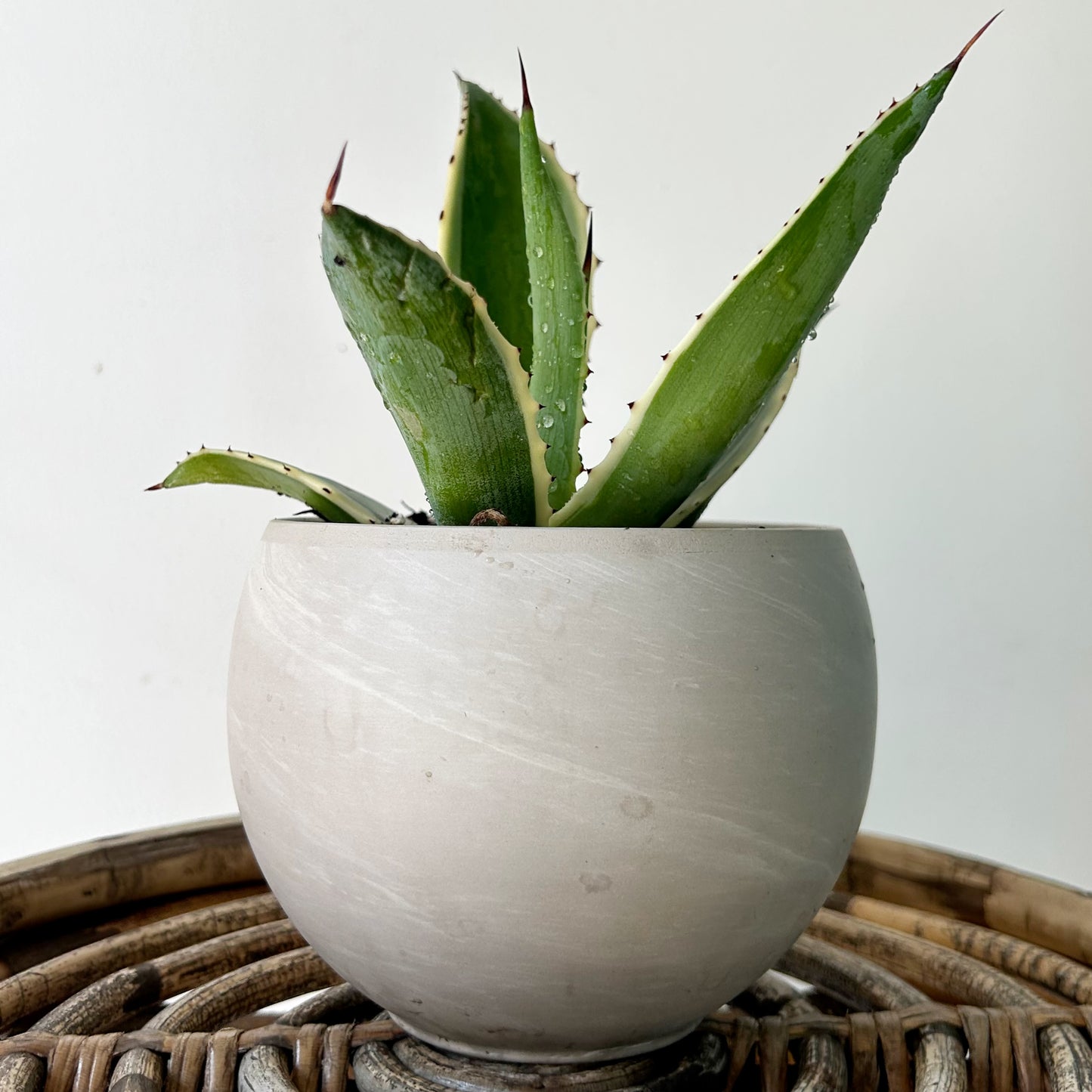 Sphere decorative clay pot (4”x3.75”)