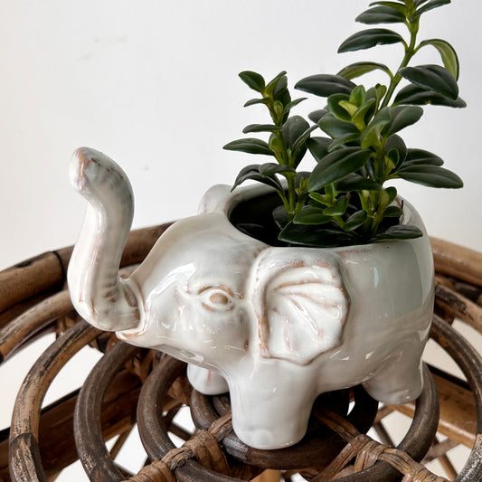 ELEPHANT Decorative Ceramic Pot (3”x3”)