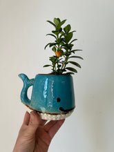 Load image into Gallery viewer, WHALE Decorative Planter (2.75”x3”)
