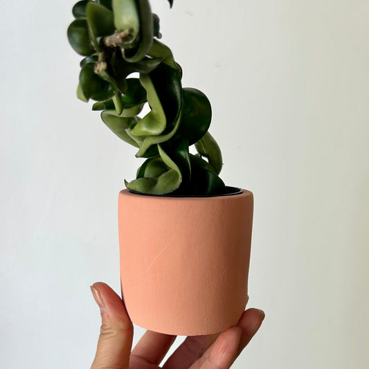 FAYE Cylindrical Clay decorative pot (2.5”x2.5”) BLUSH