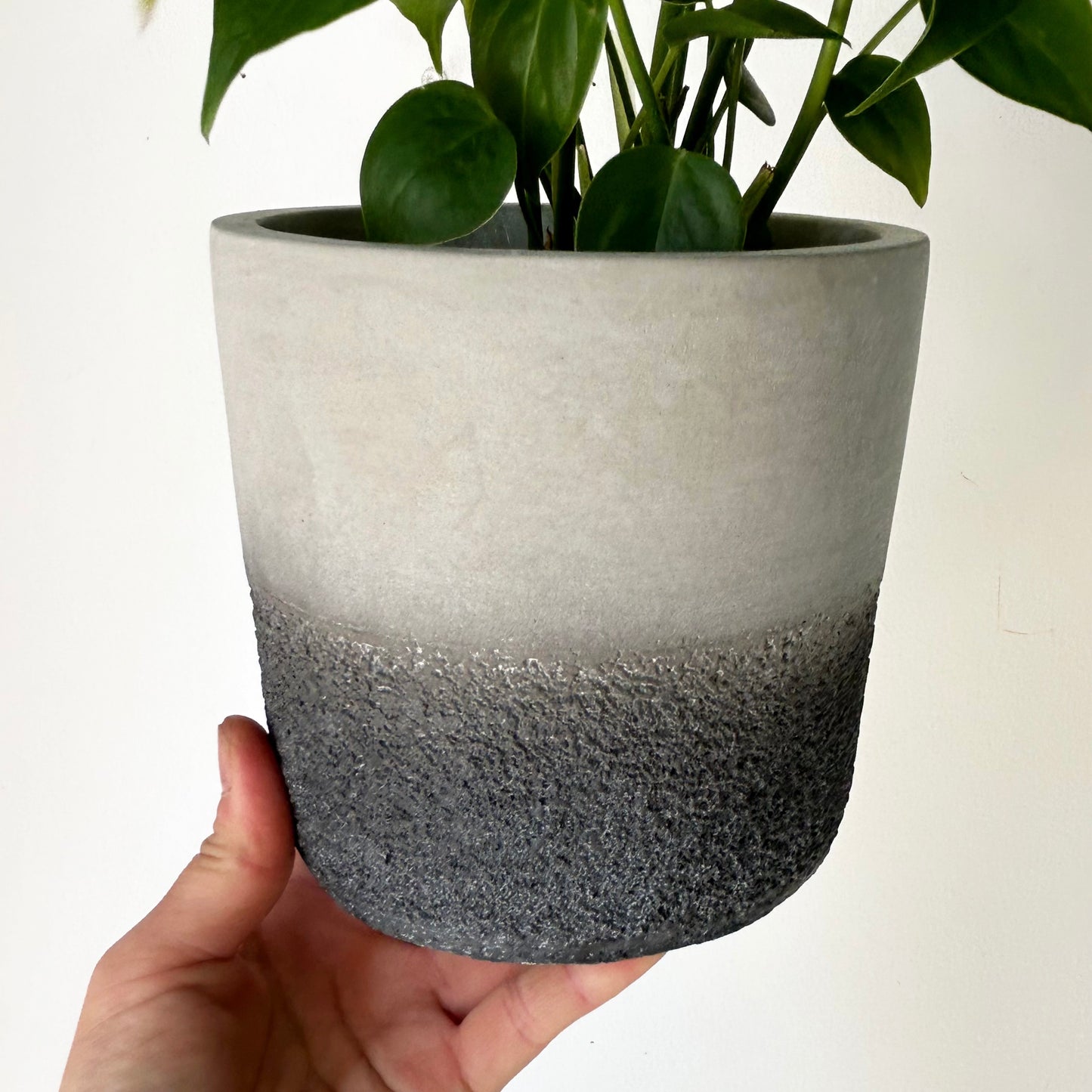 WHITNEY Decorative two-tone Concrete Pot (5”x5”)