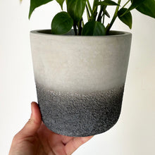 Load image into Gallery viewer, WHITNEY Decorative two-tone Concrete Pot (available in two sizes)
