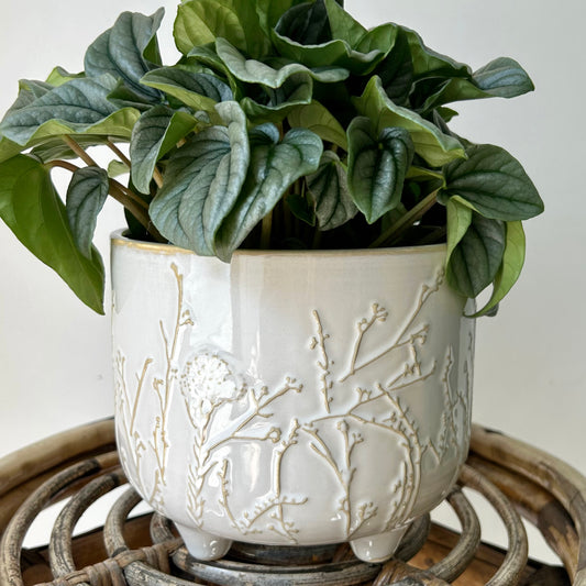 EMMY Decorative Pot (6”x4.25”)