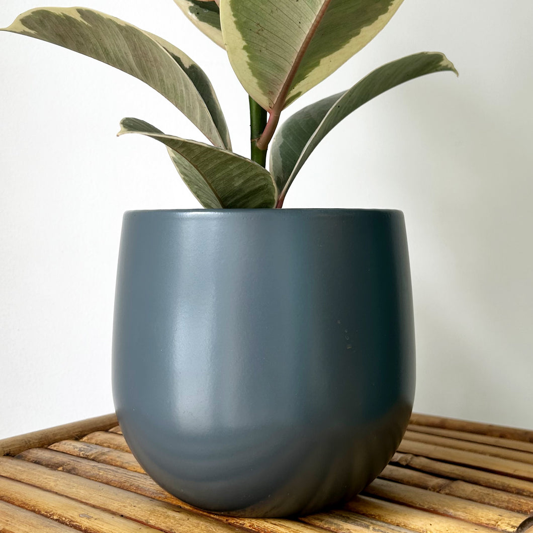 LENNOX decorative pot GLOSSY GREY (6x6”)