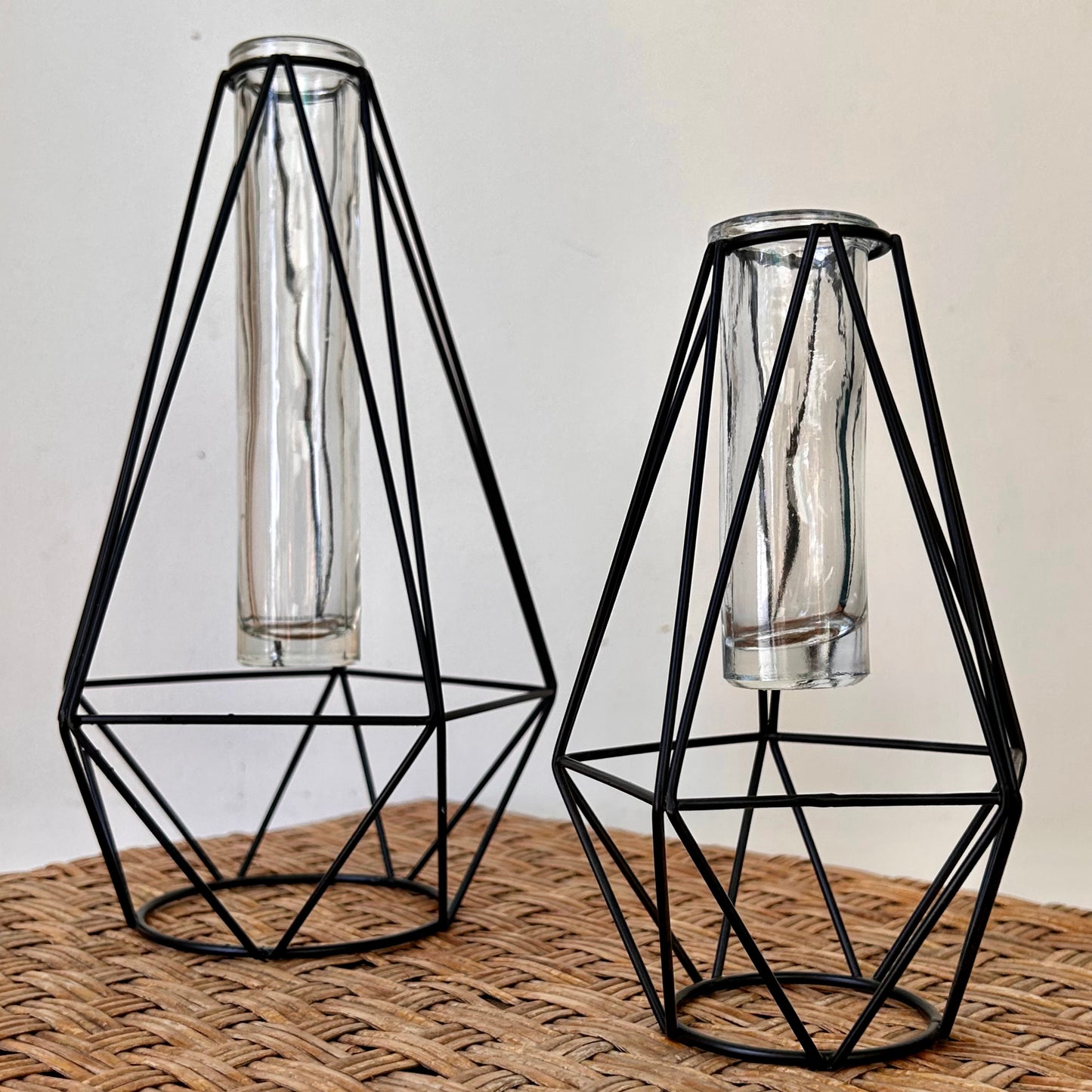 Prism Propagation Station (Single Vase) available in two sizes