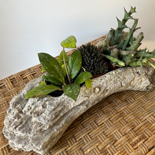 Concrete LOG Decorative Planter (7”X3”)