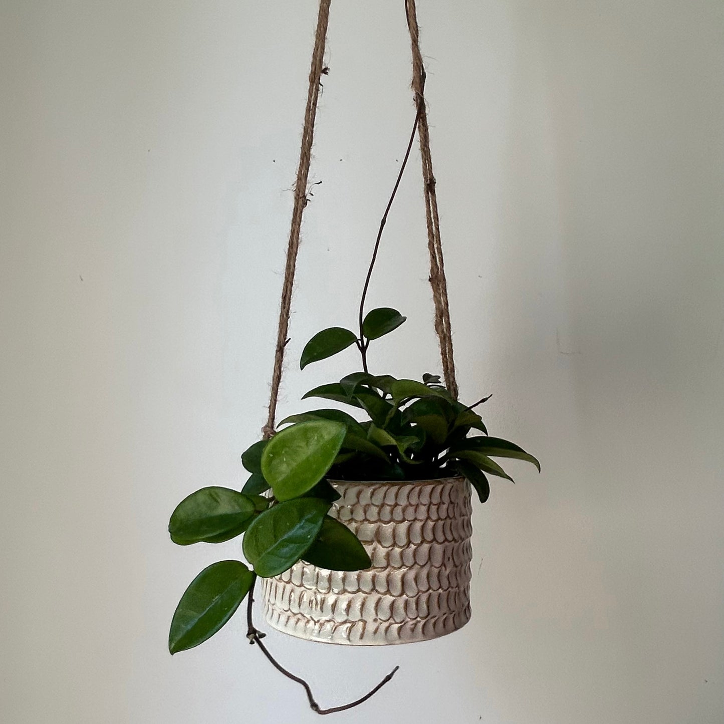 ELORA Decorative Hanging Ceramic Pot (5.25”x4)