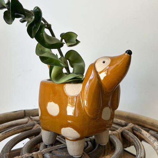 Spotted Dog Decorative Pot (2.5”x2.5”)