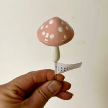 Load image into Gallery viewer, Plantshrooms decorative accent
