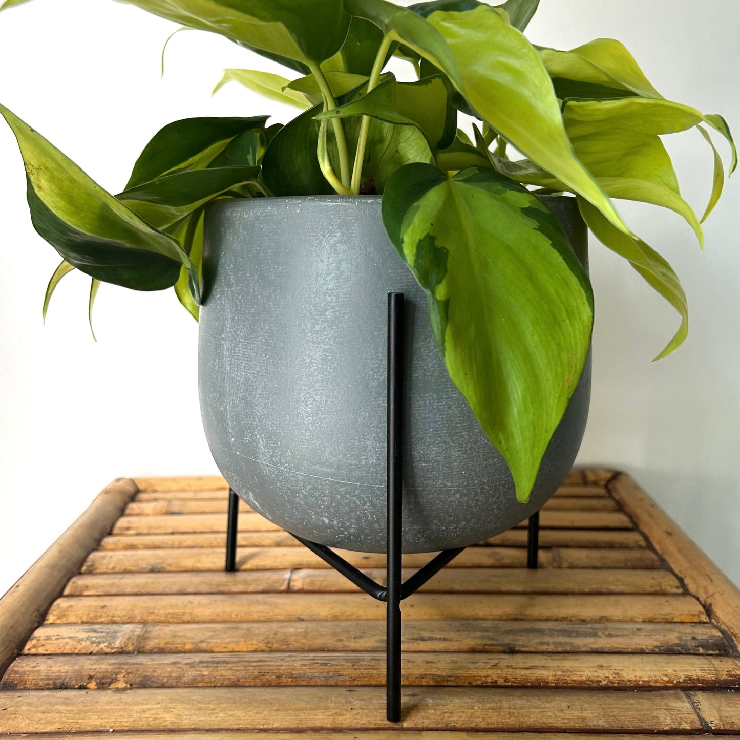 Tripod stand for Planter (fits 6" Diametre)