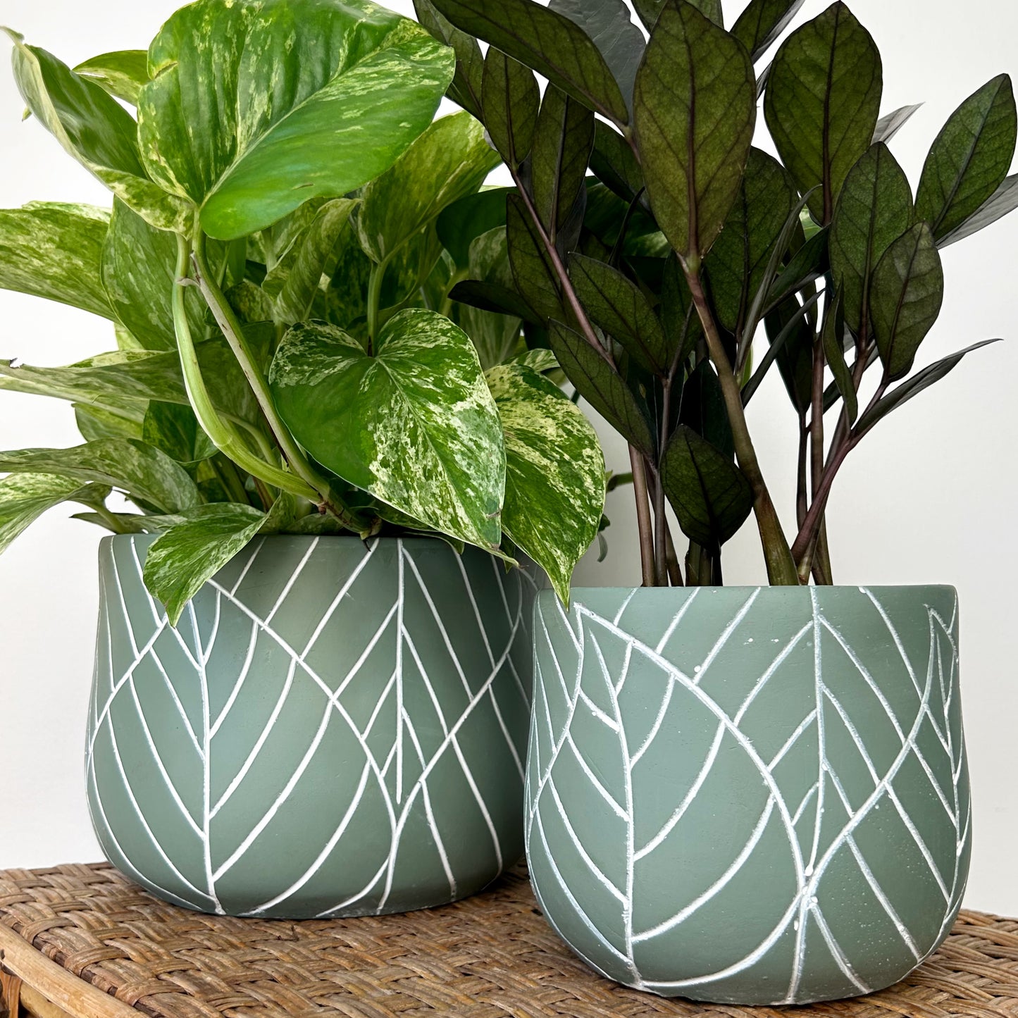 TULIP Concrete Decorative Pot w. embossed leaf design (available in two sizes)