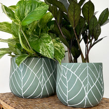 Load image into Gallery viewer, TULIP Concrete Decorative Pot w. embossed leaf design (available in two sizes)
