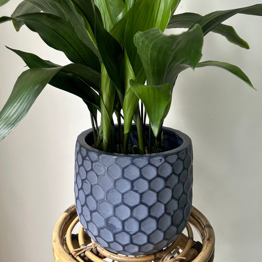 Honeycomb Blue Planter (7"x7.5")