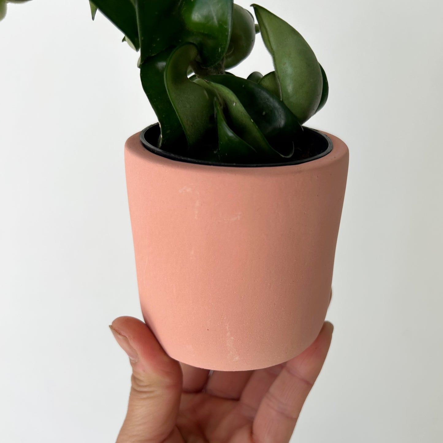 FAYE Cylindrical Clay decorative pot (2.5”x2.5”) available in two colours