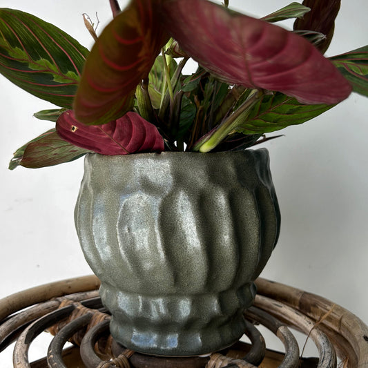 IRIS Raised Decorative Pot (available in two sizes) Dark Green