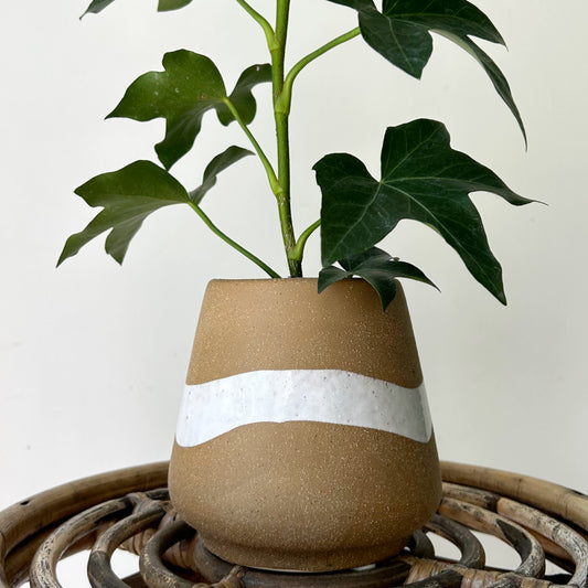 MIDDLETON Decorative Pot (3.5”x5”)