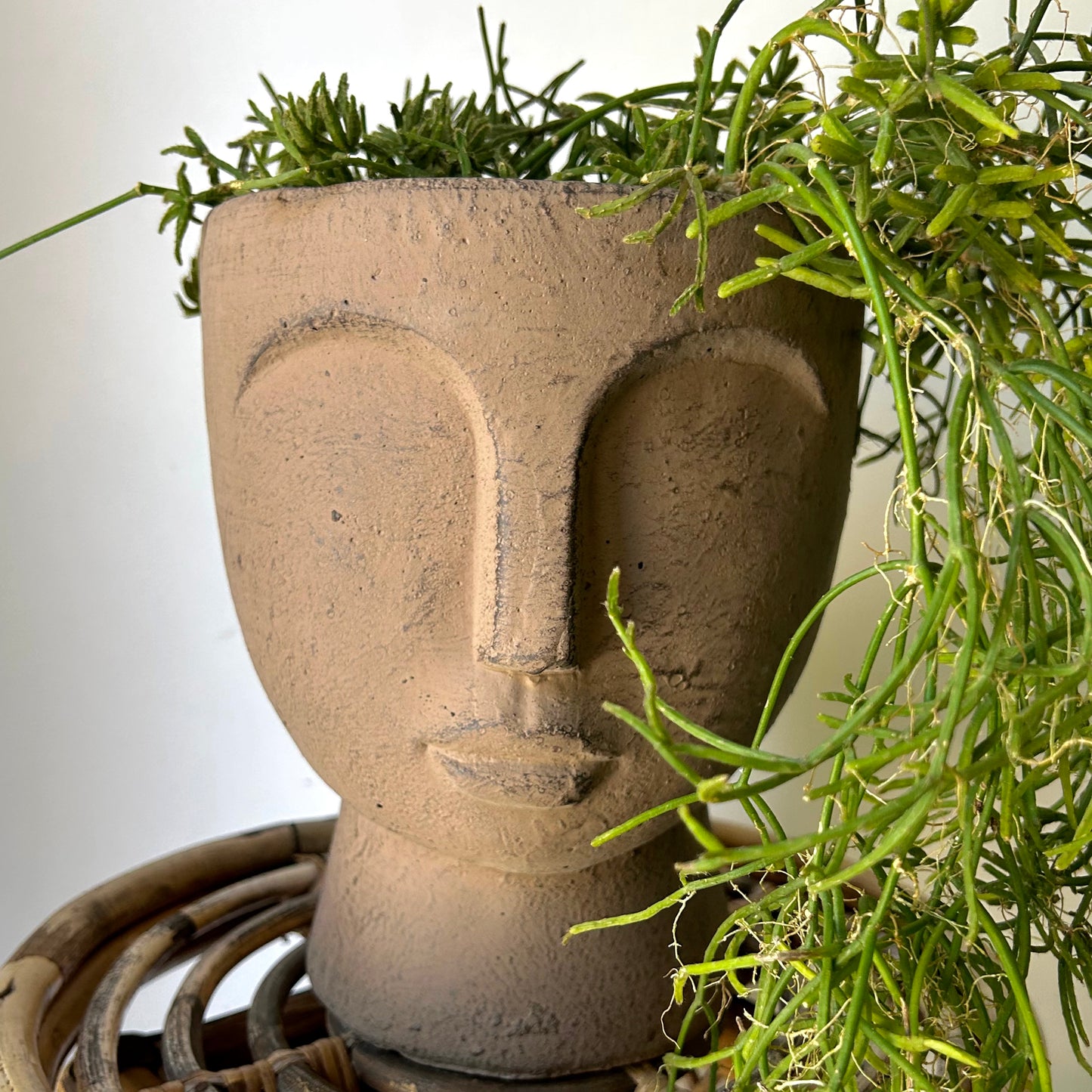 JUNO Pedestal Face Planter (7”x9)