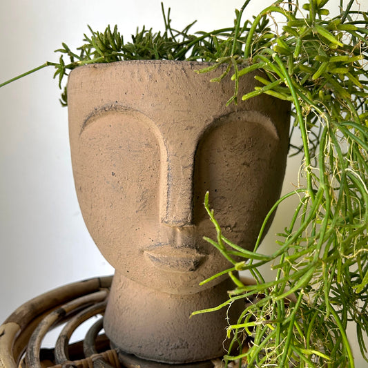 JUNO Pedestal Face Planter (7”x9)