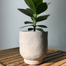 Load image into Gallery viewer, EASTON Stone-Textured Decorative Planter Taupe (3.5”X4)
