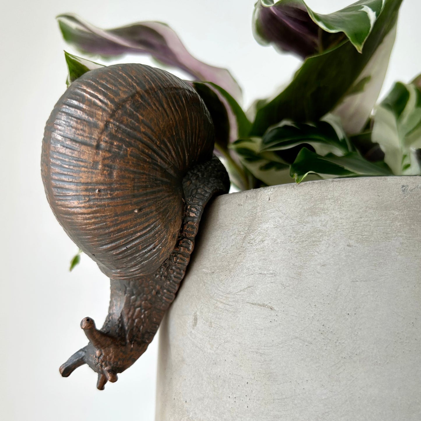 Bronze SNAIL Decorative Accent