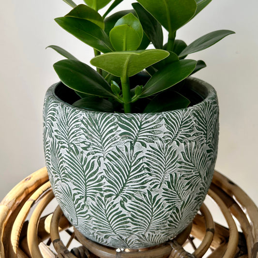 FERNANDA Decorative Cement Pot