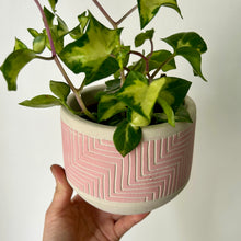 Load image into Gallery viewer, ELEANOR Decorative Pot (4.5&quot;X4&quot;)

