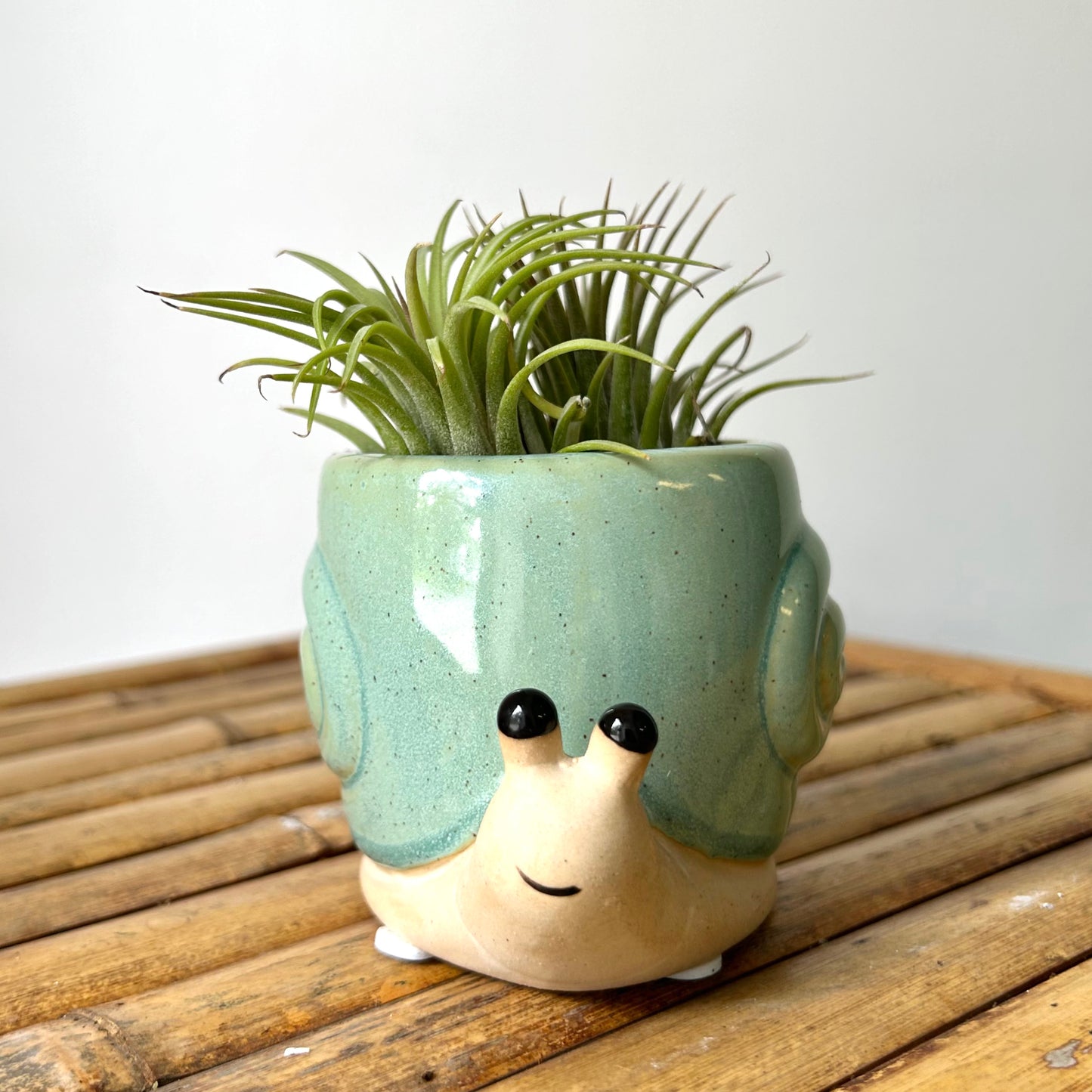 Snail Decorative Pot (2.25"X2.5")