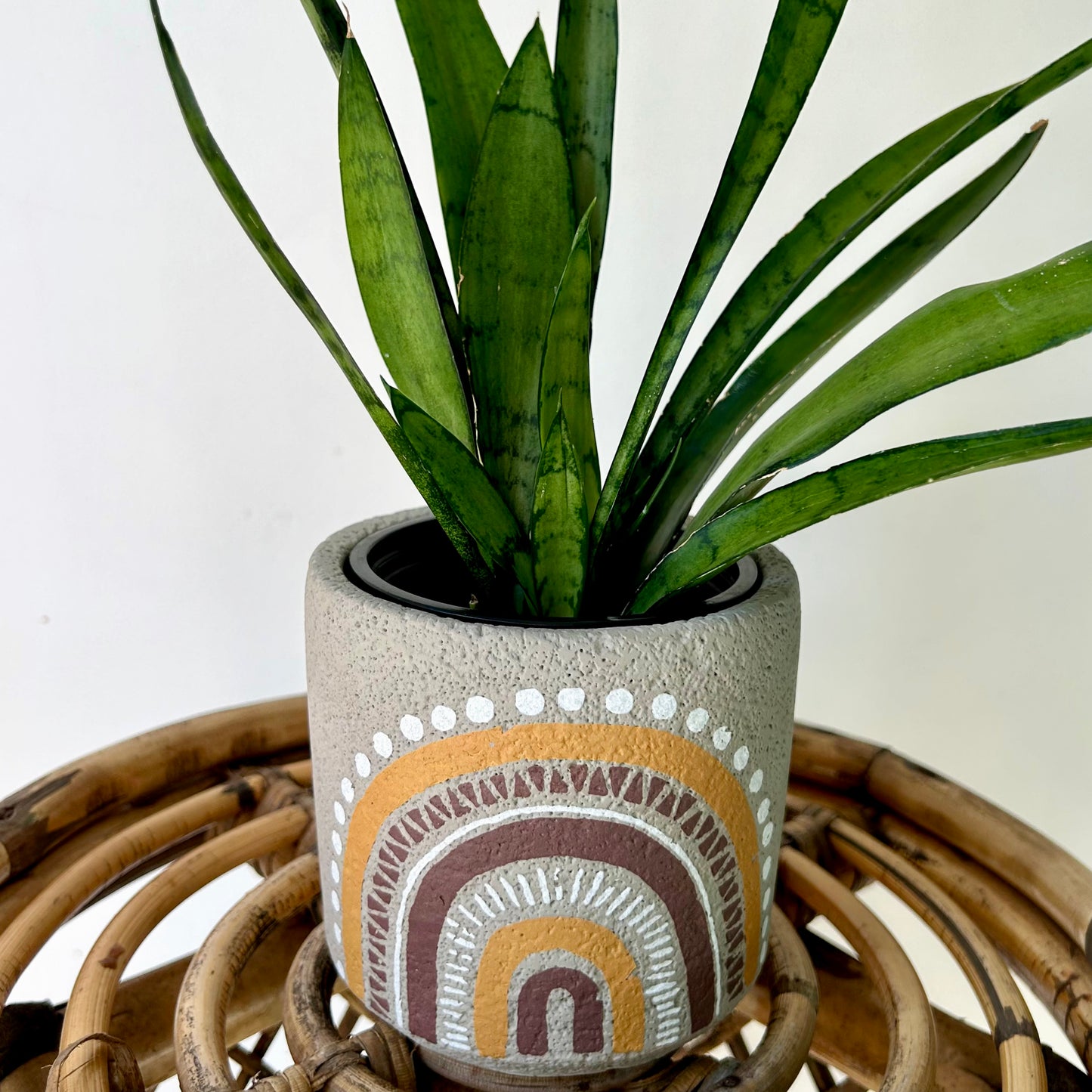 DIEGO Cement Decorative Pot (available in two sizes)