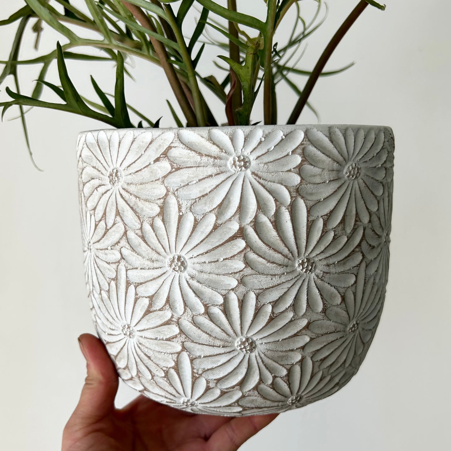 DAISY decorative cement pot (available in 2 sizes)