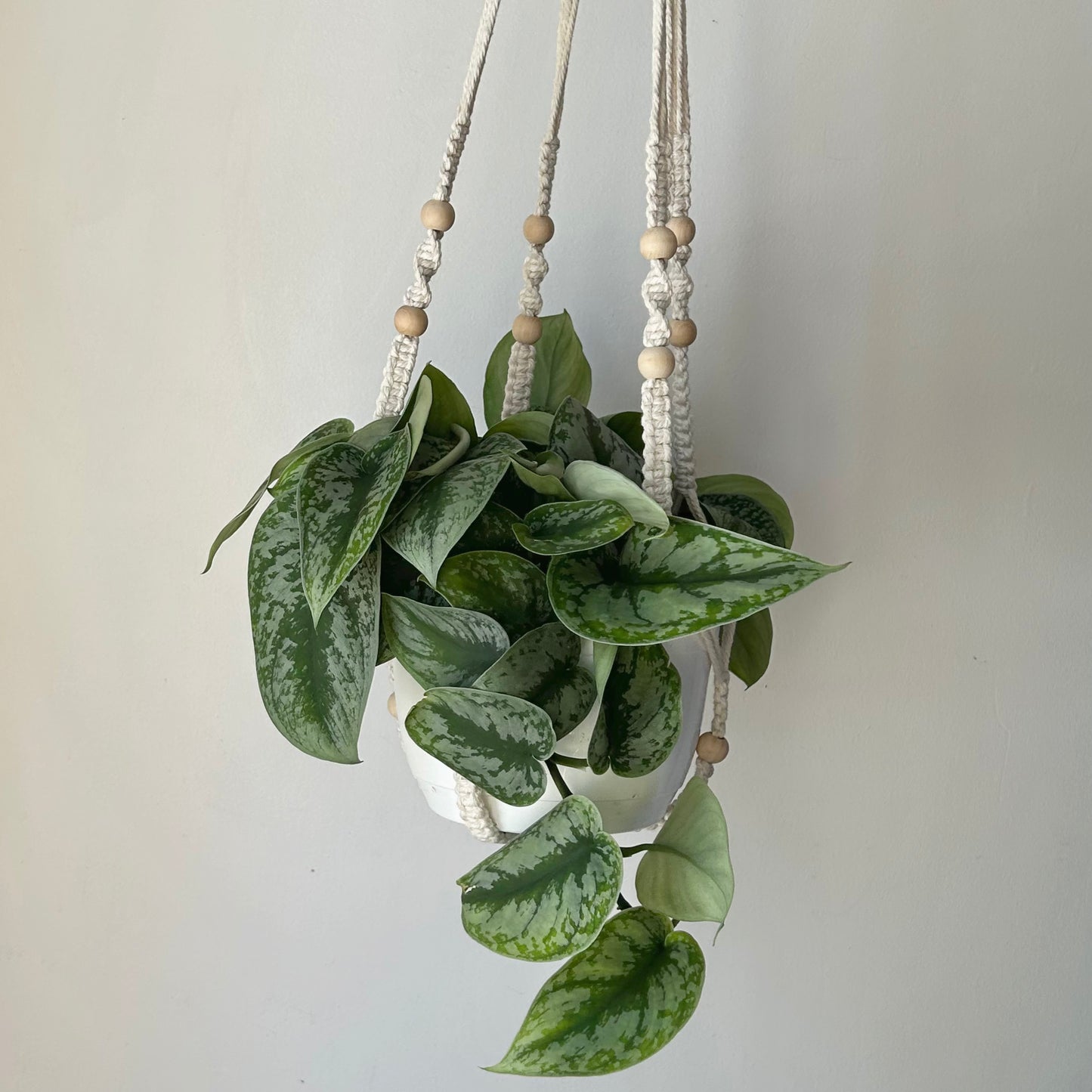 Macrame Plant Hanger w. wood beads (fits up to a 10”pot)