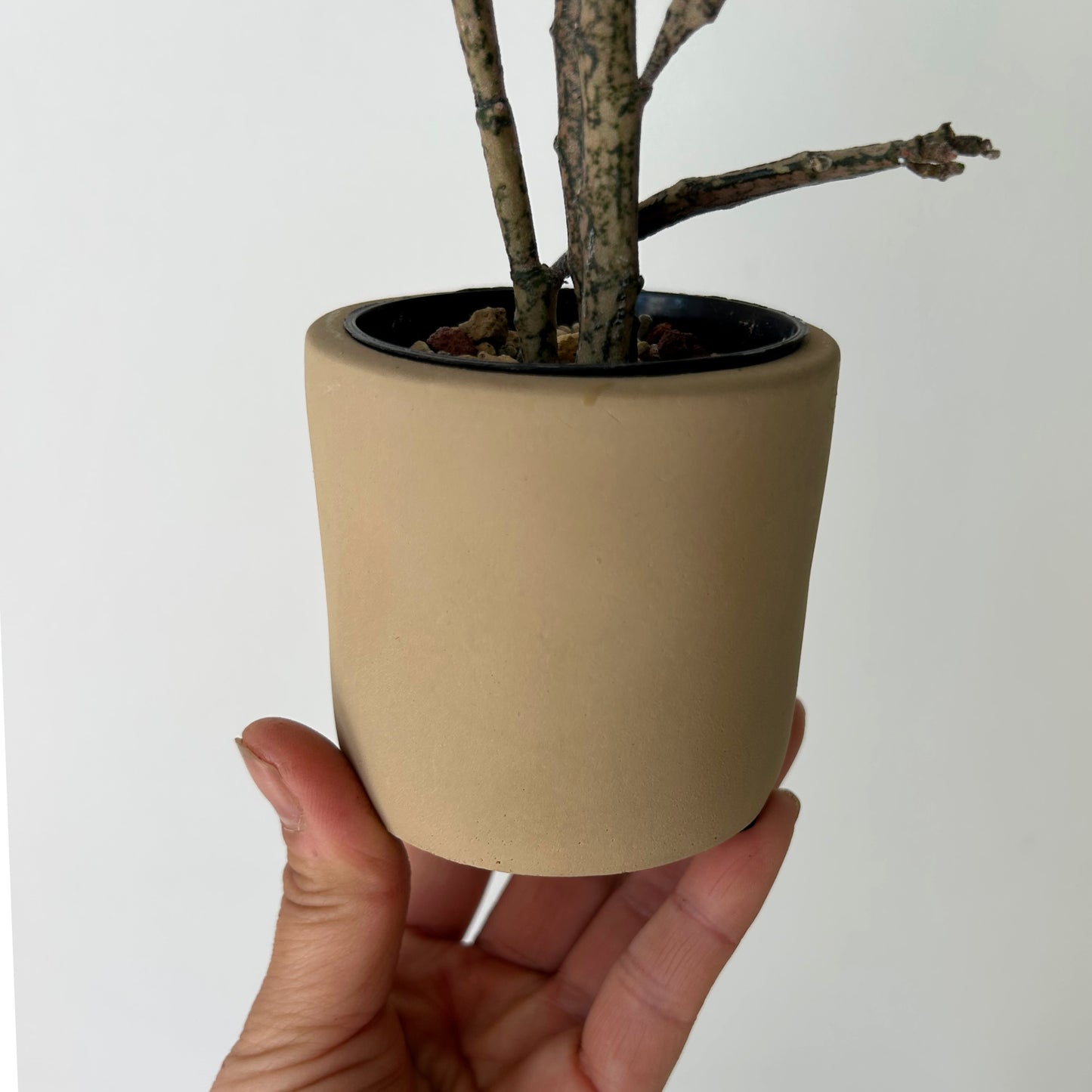 FAYE Cylindrical Clay decorative pot (2.5”x2.5”) available in two colours