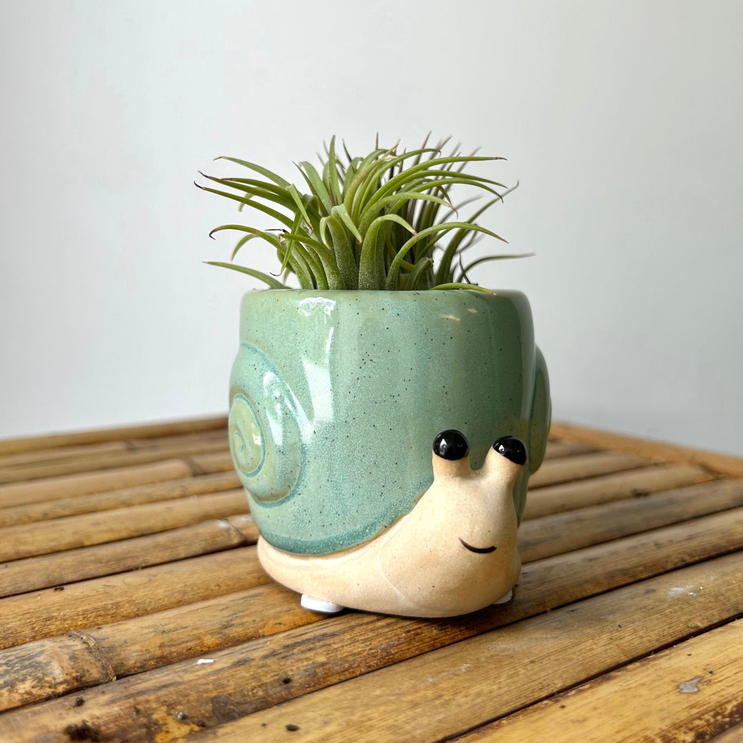 Snail Decorative Pot (2.25"X2.5")