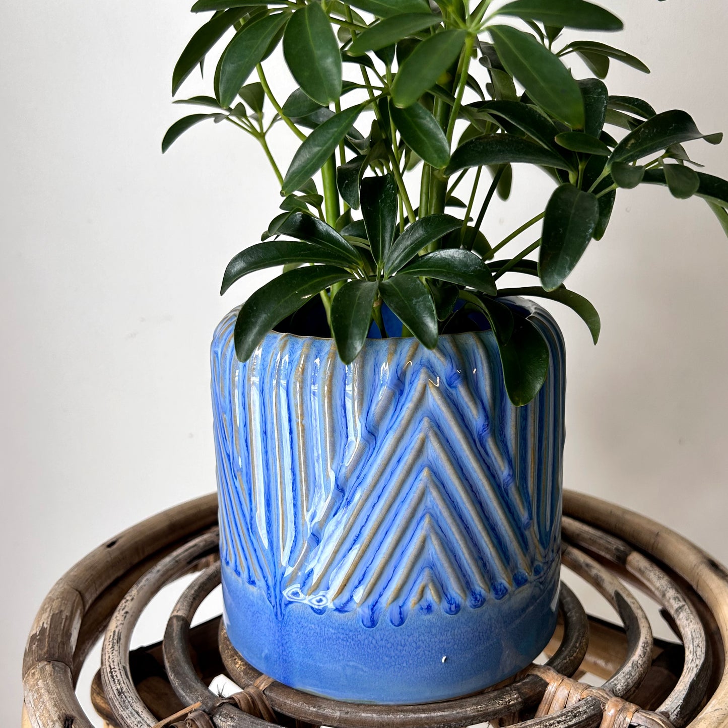 FELICITY BLUE Decorative Pot (5”x5.5”)