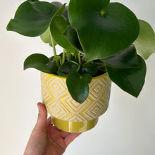 Load image into Gallery viewer, YASMINA Decorative Ceramic Planter Glossy Chartreuse (5.25&quot;X3.25&quot;)
