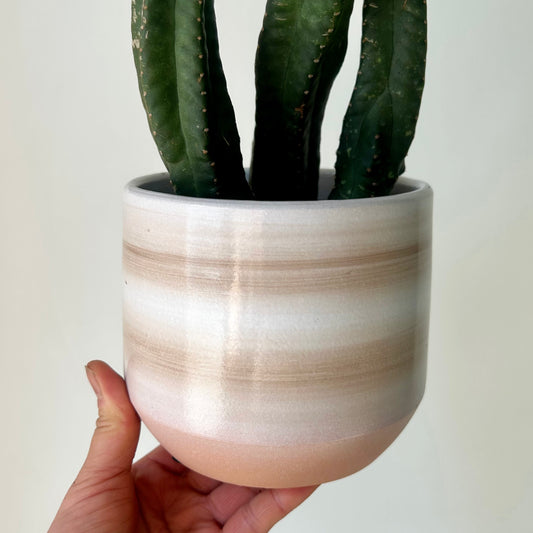 NAOMI Decorative Pot (4.75”x4.5”)