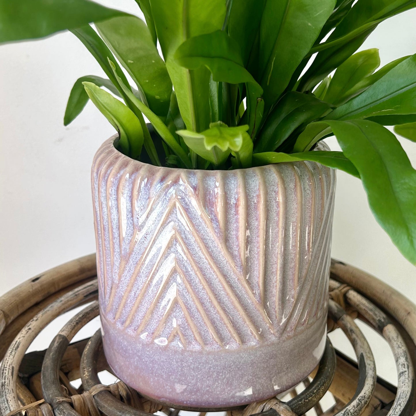 FELICIA Decorative Pot (5”x5.5”)
