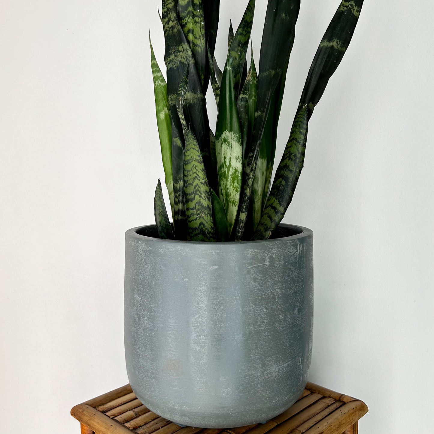 ADEN Large Cylindrical Planter