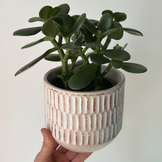 NORA Decorative Pot (4.75”x4.5”)