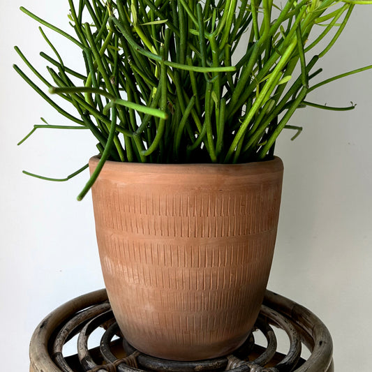 CALICO Decorative Clay pot (available in two sizes)