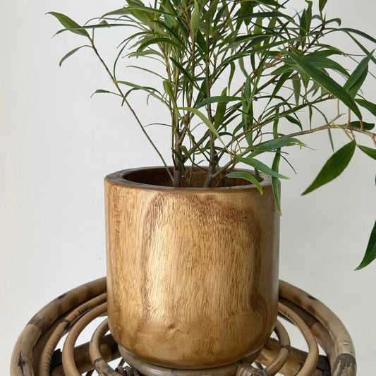 NICO Wooden Decorative Planter (5”x6”)