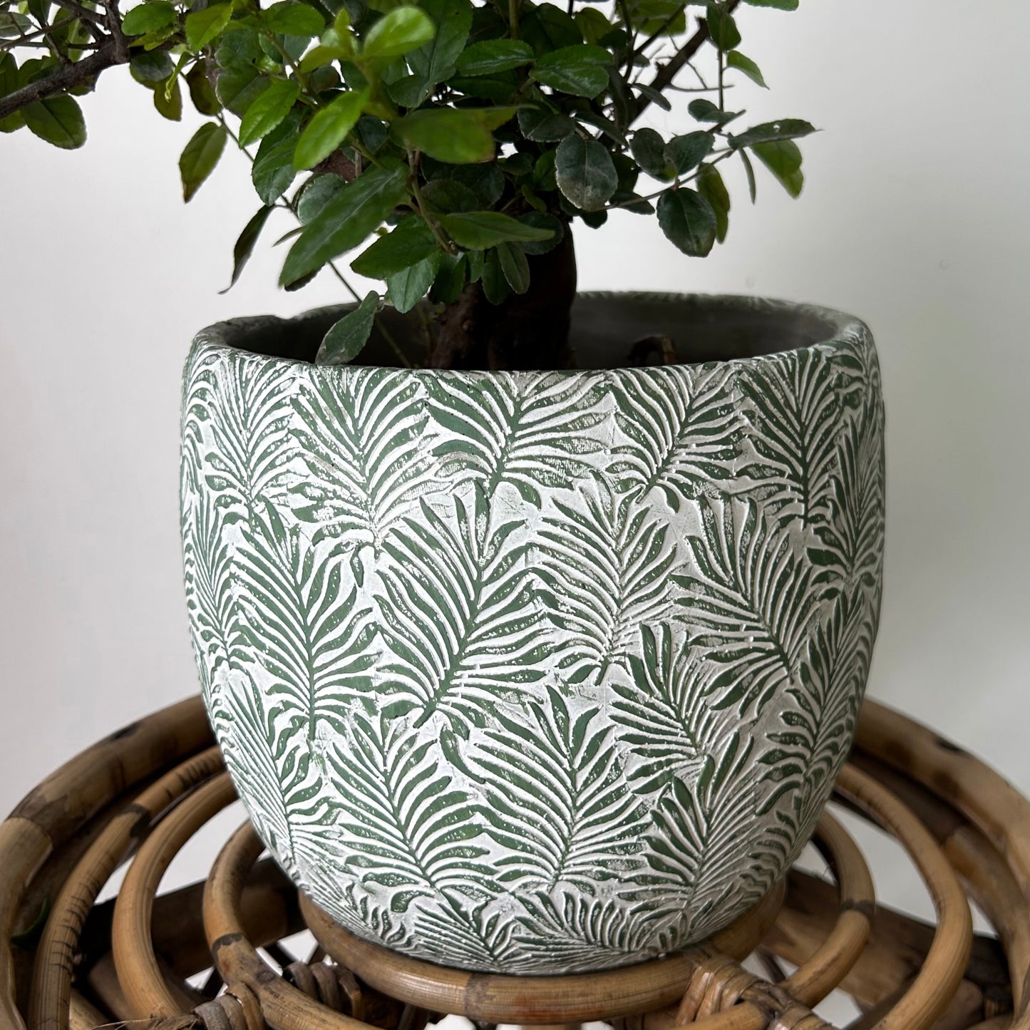 FERNANDA Decorative Cement Pot (available in 3 sizes)