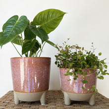 Load image into Gallery viewer, GEMMA Decorative Ceramic Footed Planter (available in 2 sizes)
