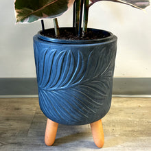 Load image into Gallery viewer, BEATRICE Plant Stand tripod (available in 3 colour)
