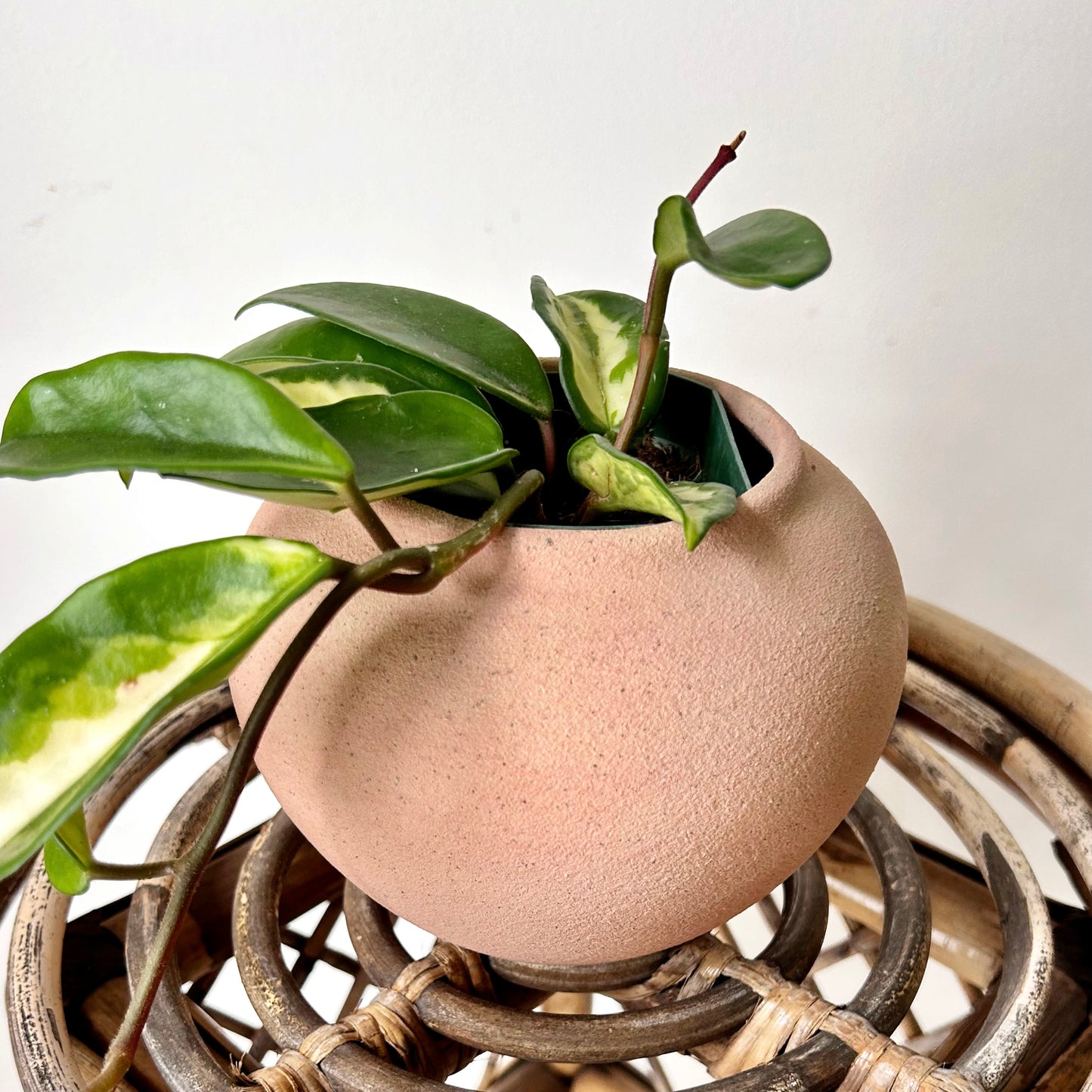 KASTANOS Decorative Pot (3”x4”)