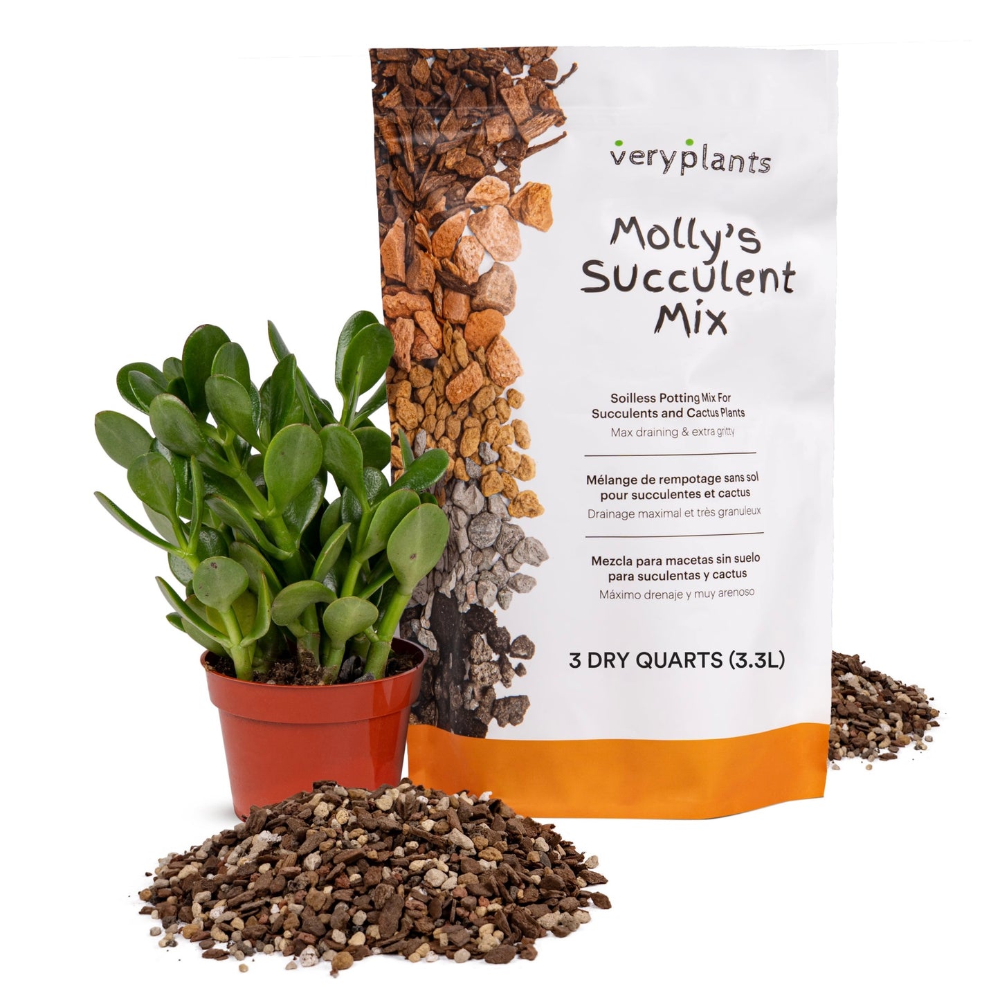 Molly's Premium Succulent Mix