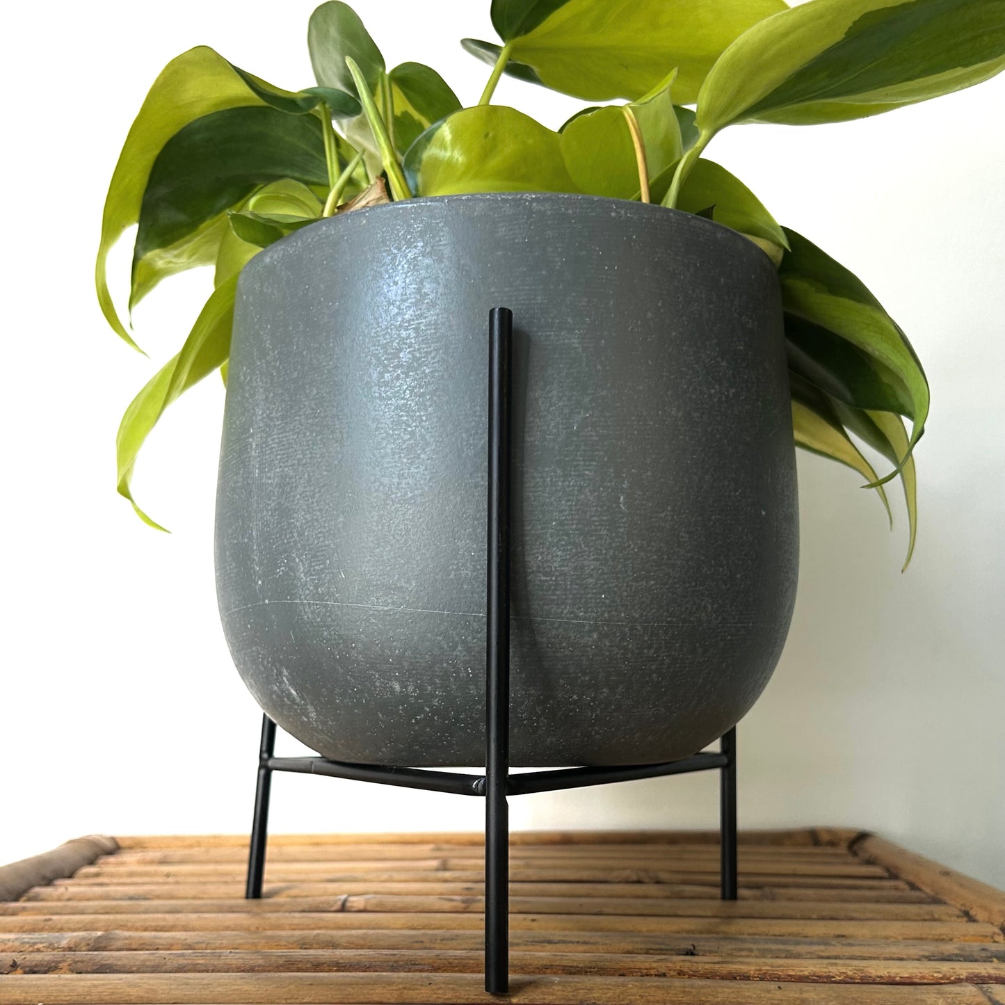 Tripod stand for Planter (fits 6" Diametre)