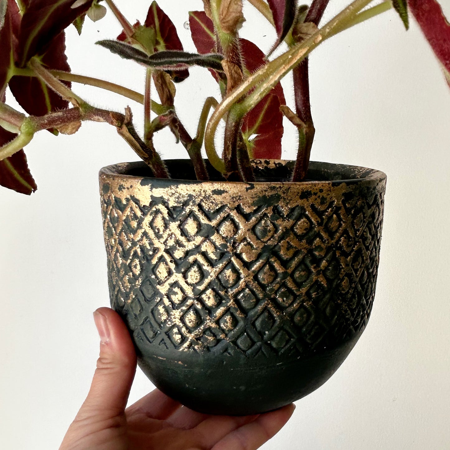 CALEB Decorative Pot FOREST GREEN (5.25”X5”)